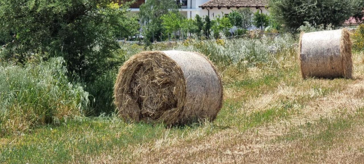 Masseria Milu' 시폰토 외부 사진