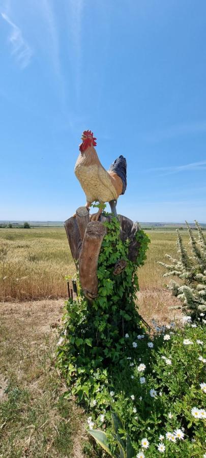 Masseria Milu' 시폰토 외부 사진